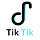 TikTik Social Media Application for the Videos