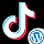 TikTok Video Downloader Without Watermark WordPress