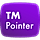 TM Pointer WordPress Plugin