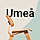 Umea WordPress Theme
