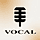 Vocal WordPress Theme