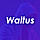 Waltus - Send Money, Receive Online Payment Template
