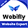 Website Export Module For Webifly AI