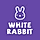 WhiteRabbit WordPress Theme