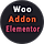 WooCommerce  Addon WordPress Plugin