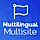WordPress Multilingual Multisite WordPress Plugin