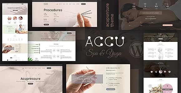 Accu WordPress Theme