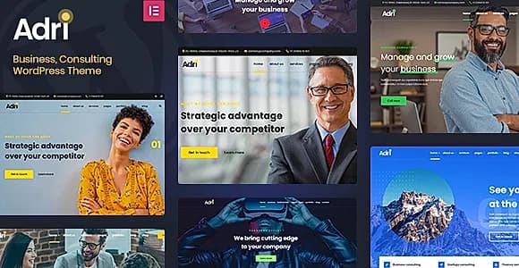 Adri Ajdethemes WordPress Theme
