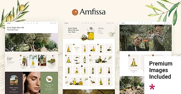 Amfissa WordPress Theme