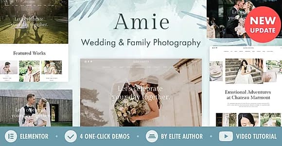Amie WordPress Theme