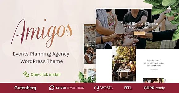 Amigos WordPress Theme