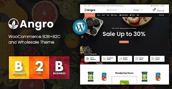 Angro WordPress Theme