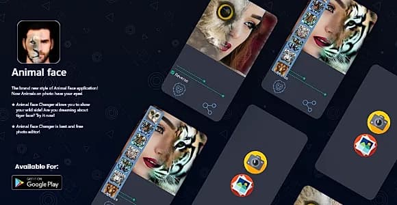 Animal face Morphing