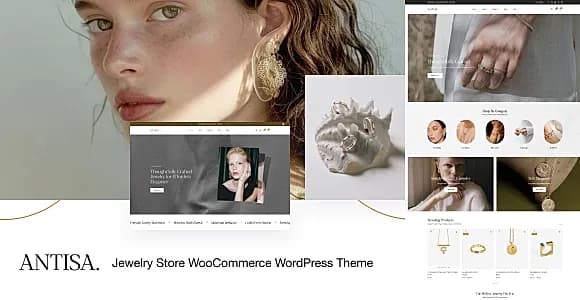Antisa WordPress Theme