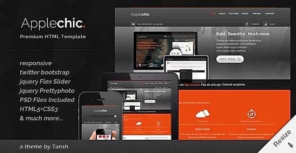 Applechic Responsive Software HTML Template