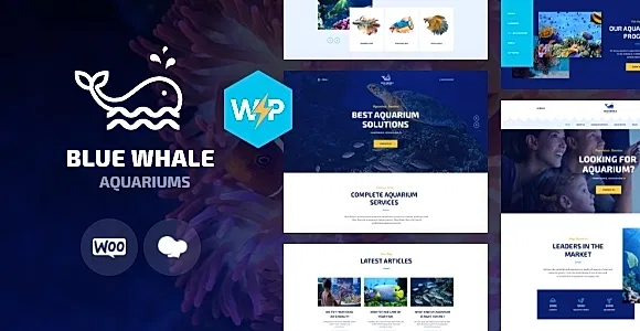 Aqualots WordPress Theme