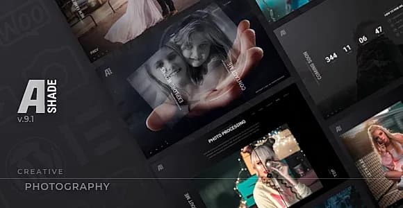 Ashade WordPress Theme