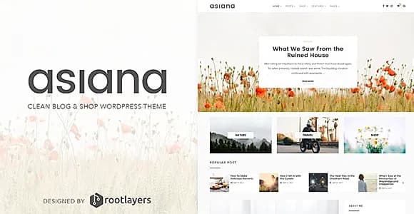 Asiana WordPress Theme