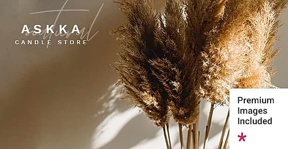 Askka WordPress Theme