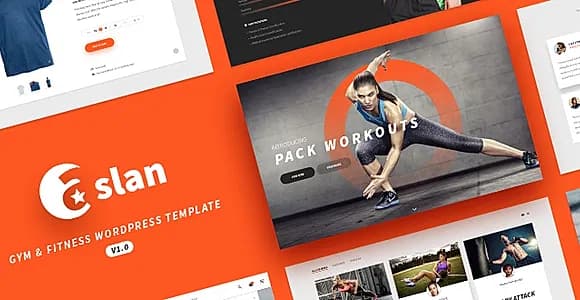 Aslan WordPress Theme