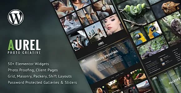 Aurel WordPress Theme