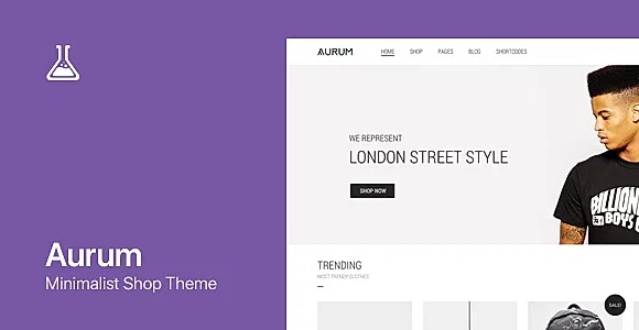Aurum WordPress Theme
