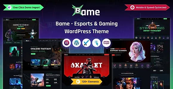 Bame WordPress Theme
