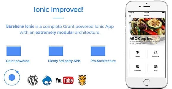 Barebone Ionic - Full Application