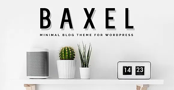 Baxel WordPress Theme