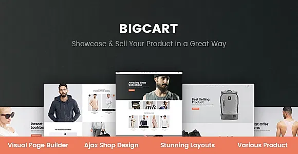 BigCart WordPress Theme