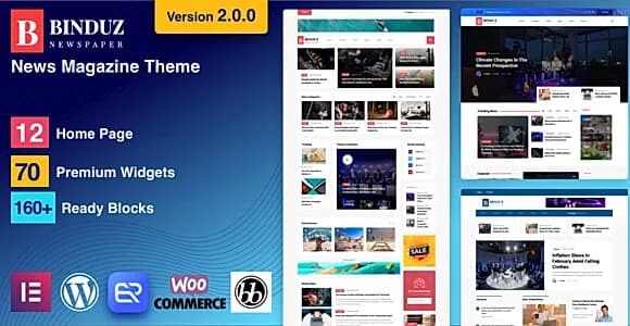 Binduz WordPress Theme