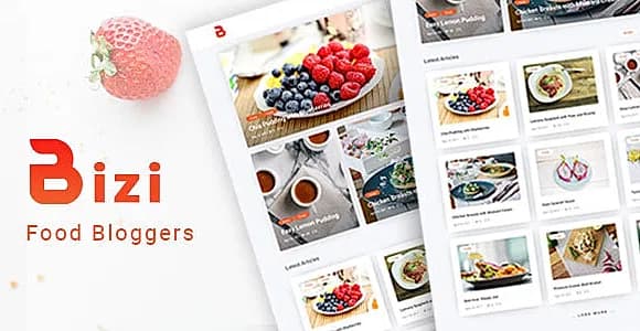 Bizi WordPress Theme