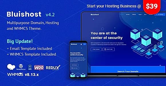 Bluishost WordPress Theme