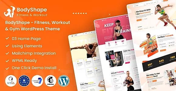 BodyShape WordPress Theme