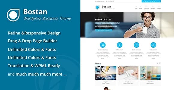 Bostan WordPress Theme