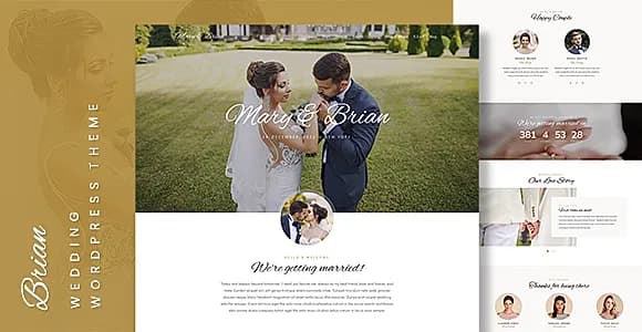 Brian WordPress Theme