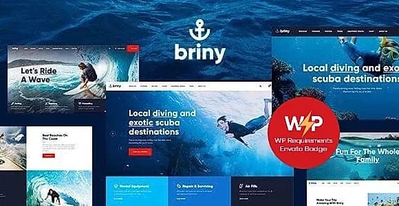Briny WordPress Theme