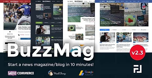 BuzzMag WordPress Theme
