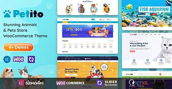 bw-petito WordPress Theme