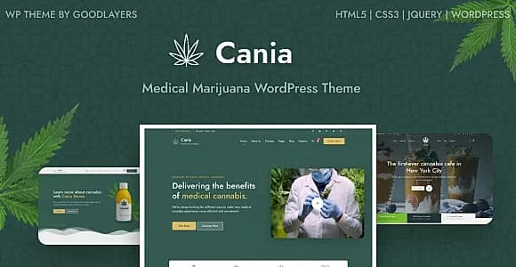 Cania WordPress Theme