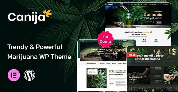 Canija WordPress Theme