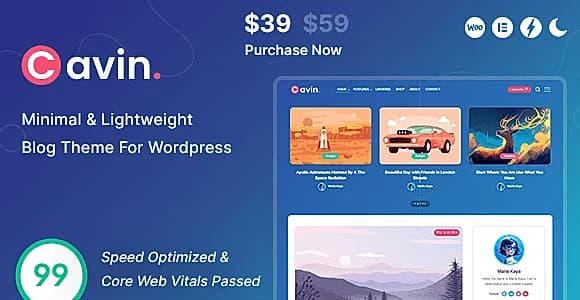 Cavin WordPress Theme