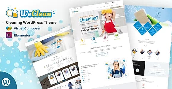 Cleaning WordPress Theme