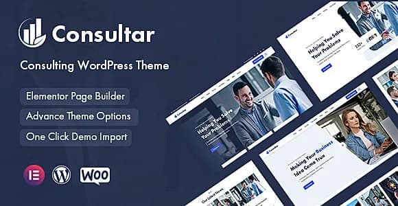 Consultar WordPress Theme