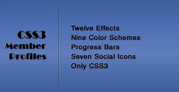 CSS3 Member Profiles with Animated Progress Bars