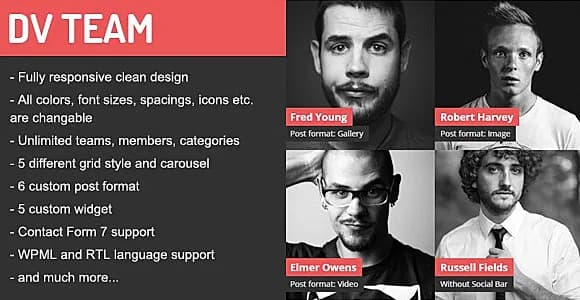 DV Team WordPress Plugin