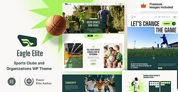 Eagle-Elite WordPress Theme