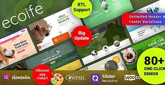 Ecoife WP WordPress Theme