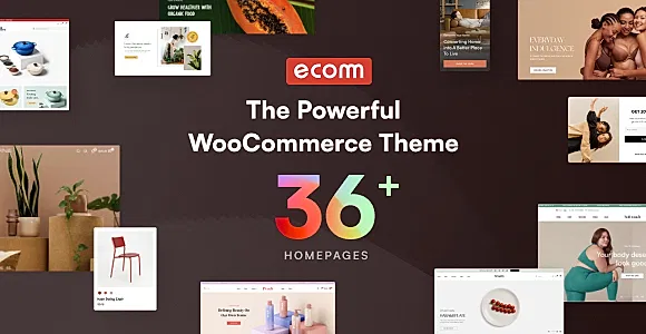 Ecomm WordPress Theme