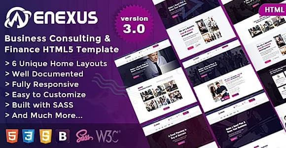 Enexus - Consulting Business